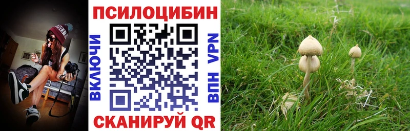 Галлюциногенные грибы мухоморы  Купить закладки  Катайск 